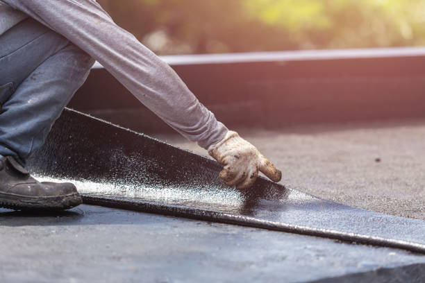 Professional Interior Drainage System technician working in Adamstown, MD
